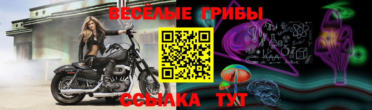 Галлюциногенные грибы мицелий Черняховск