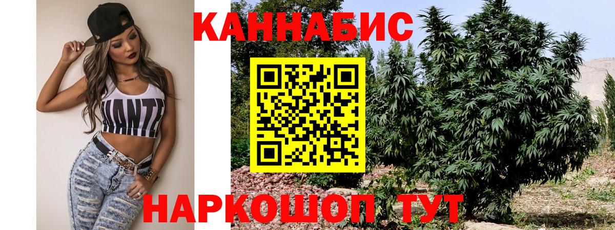 Канабис Ganja  Вход с VPN  МАРИХУАНА White Widow  Черняховск  Конопля тримм 